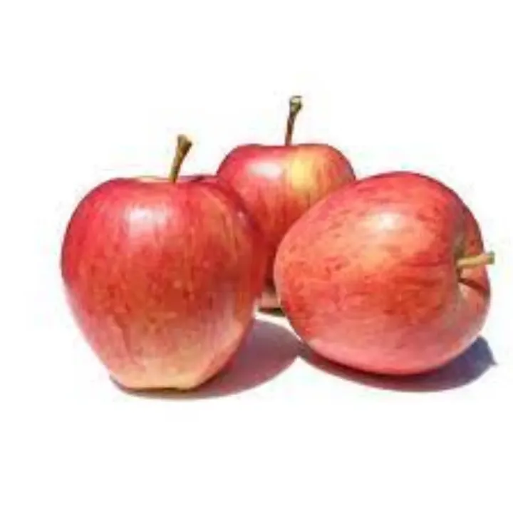 New zealand gala apples