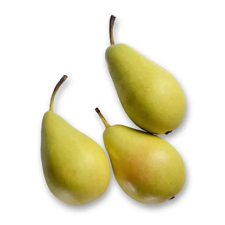 4 KG Pear – Spain – Green