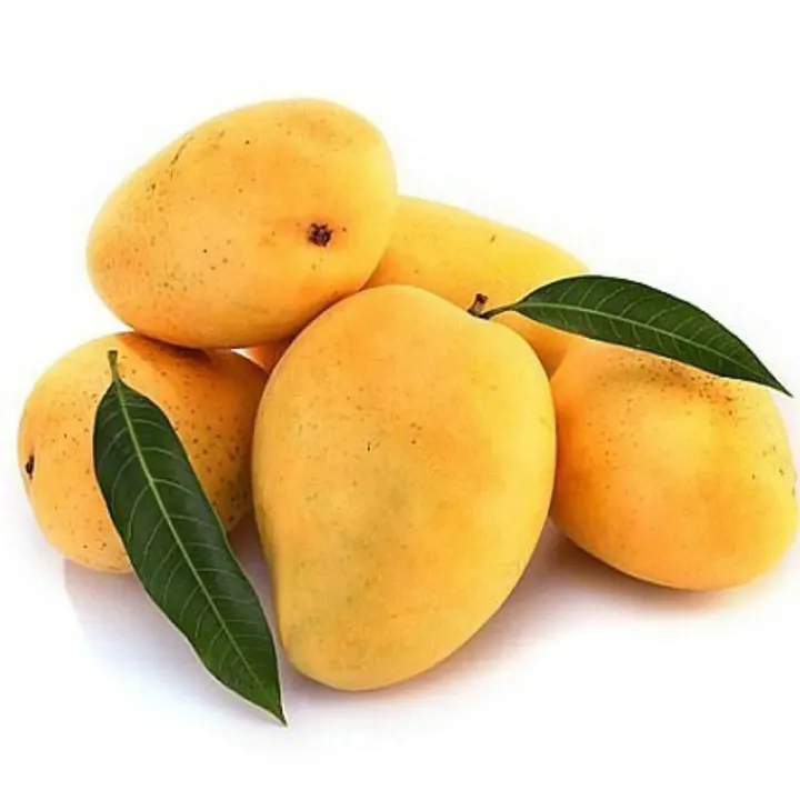 10KG Mango – Safeda – India