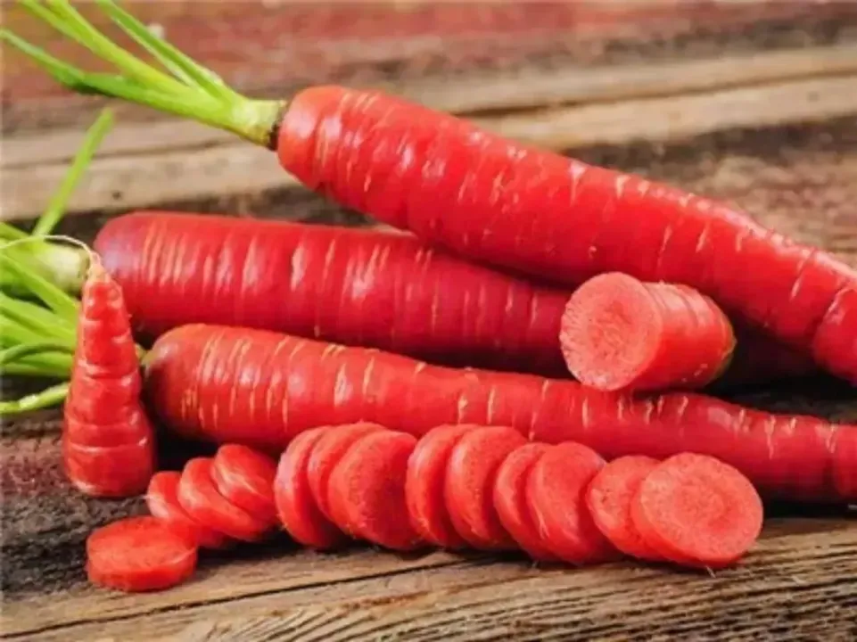 Desi Red Carrot