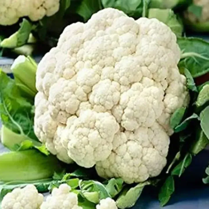 Cauliflower Seasonable