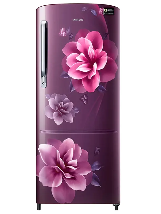 Samsung Refrigerator RR20C2723CR/NL