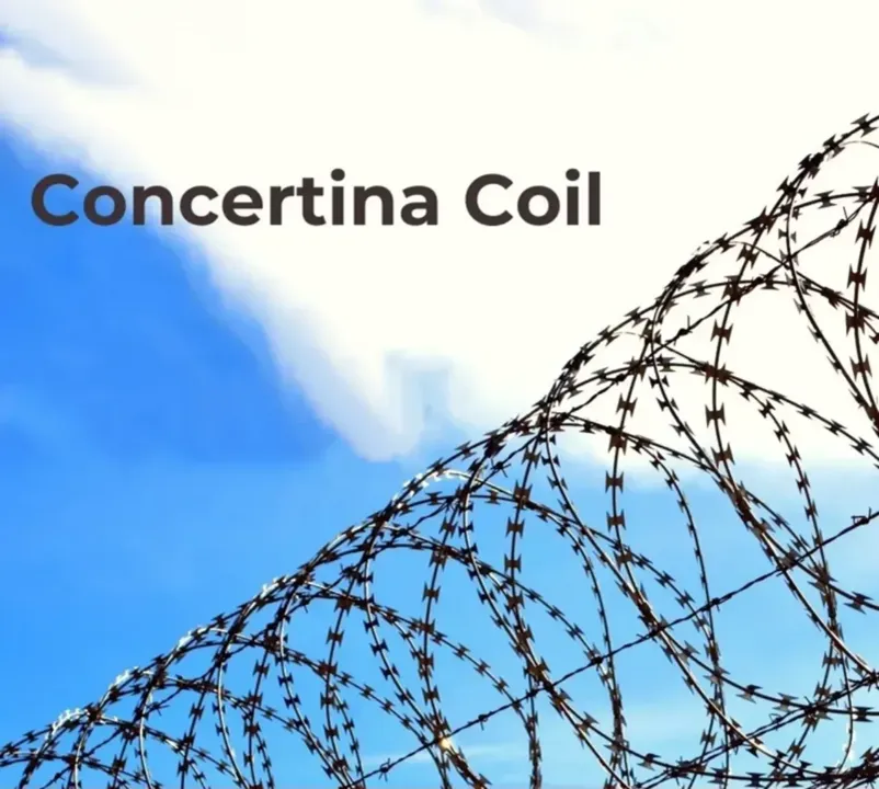Concertina Coil