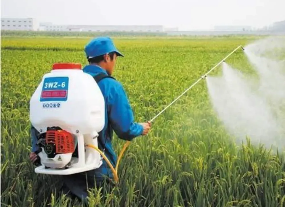 Agriculture Spray Pump