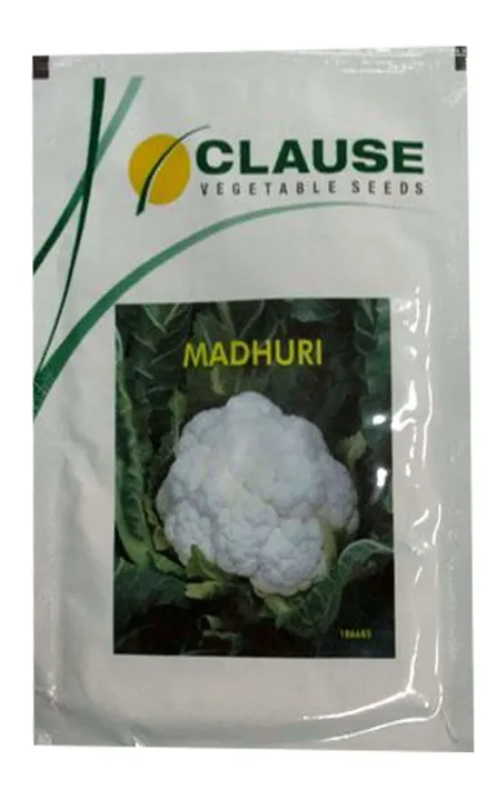 Madhuri Cauliflower Seeds