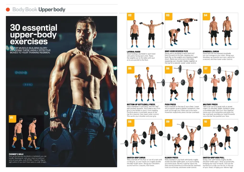 Upper Body Workout Chart