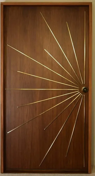 Modern look polished door