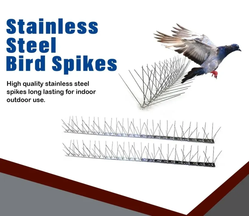 SS Bird Spikes