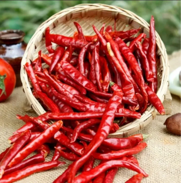 Red Chilly Whole Teja