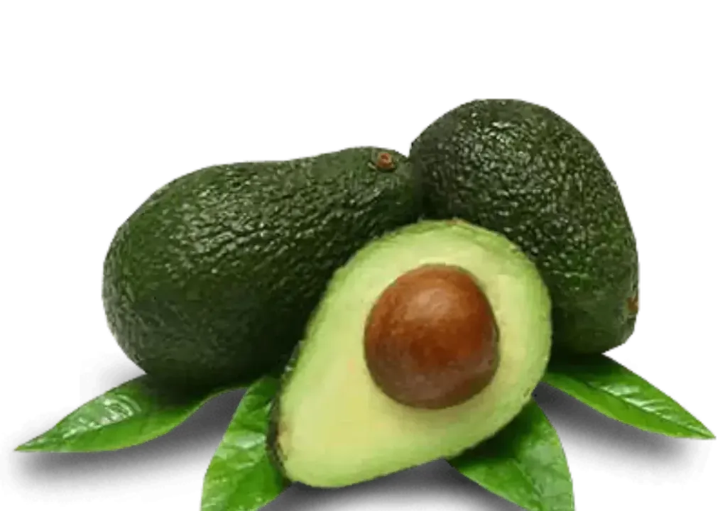 Avocado Imported