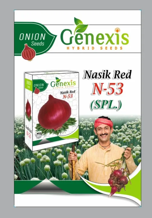 Nasik Red Onion Seeds