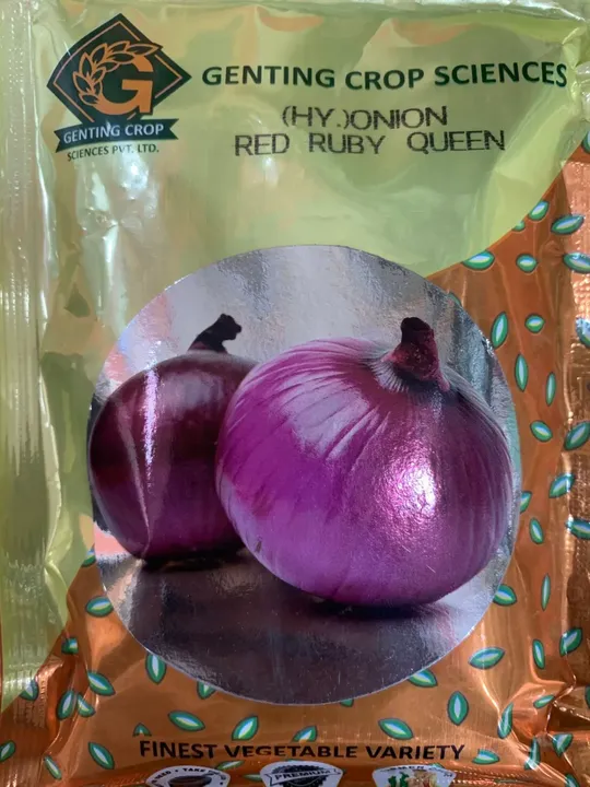 Red Ruby Queen Hy. Onion