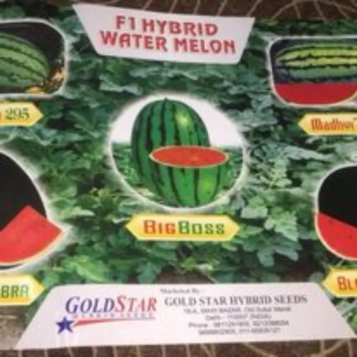 F1 Hybrid Water Melon