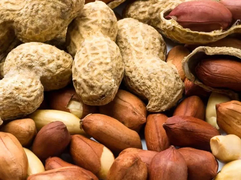 Pea Nuts