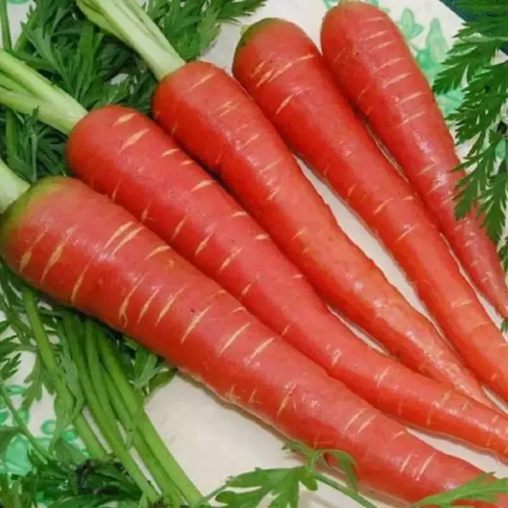 Carrot Desi Red Seeds
