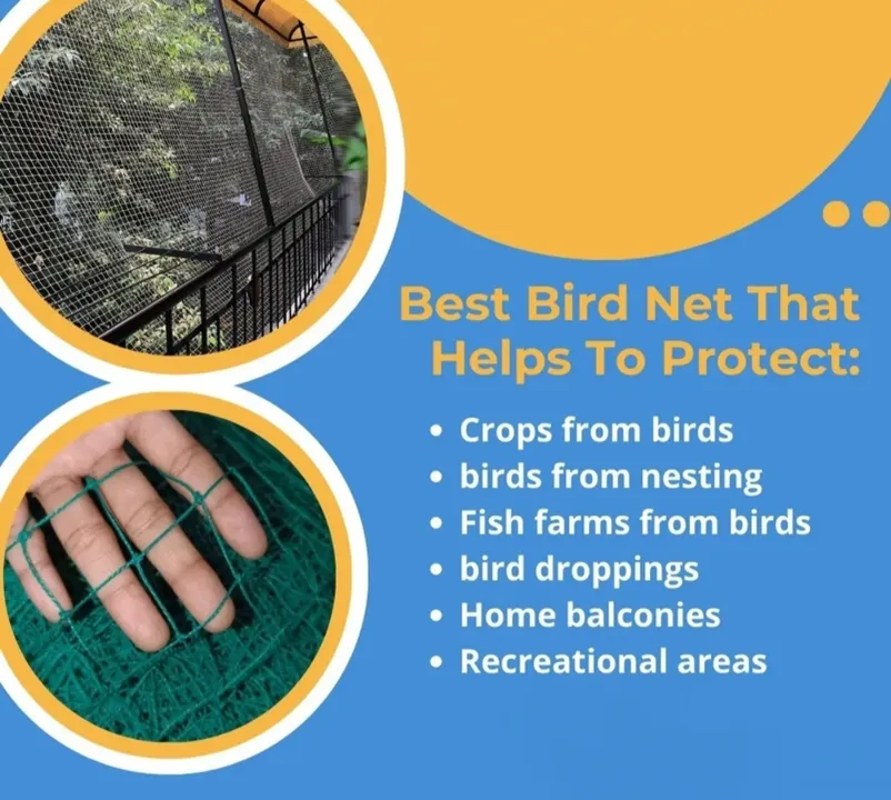 Bird Net