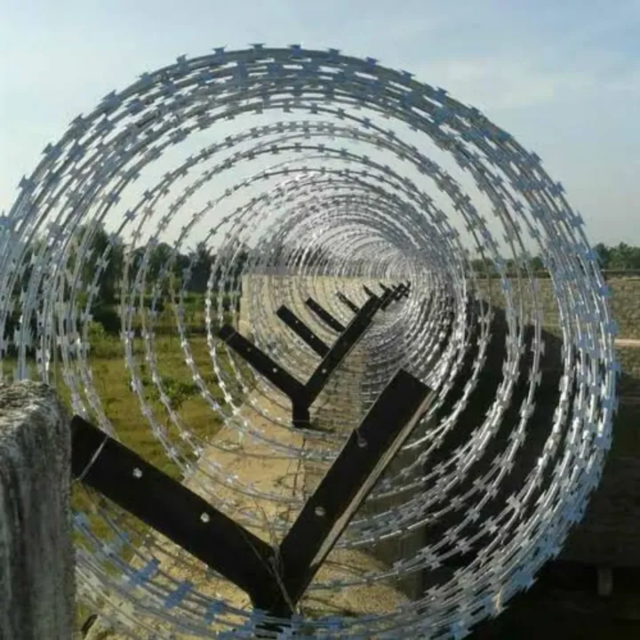 Concertina Barbed Wire