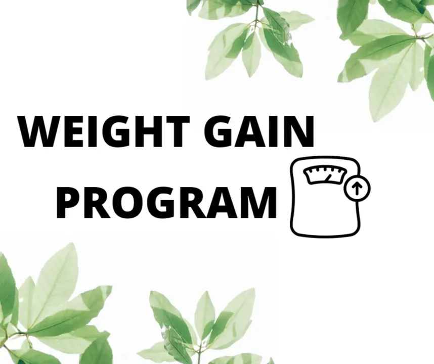 Weight Gain Program