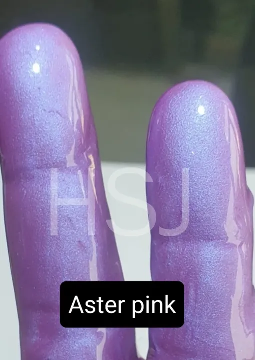 Aster Pink