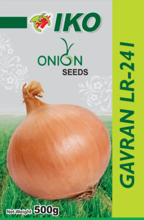 Onion Seeds Gavran LR-241