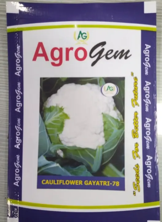 Cauliflower Gayatri-78