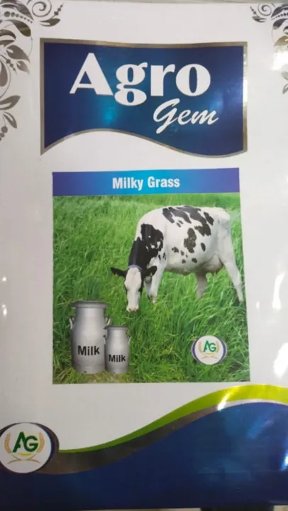 Milky Grass