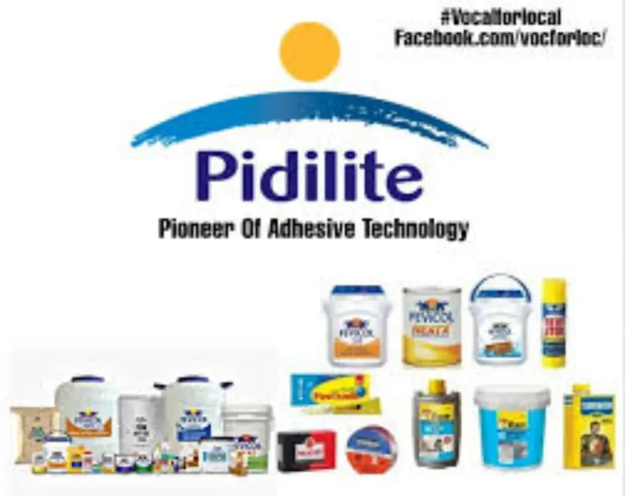 PIDILITE PRODUCTS