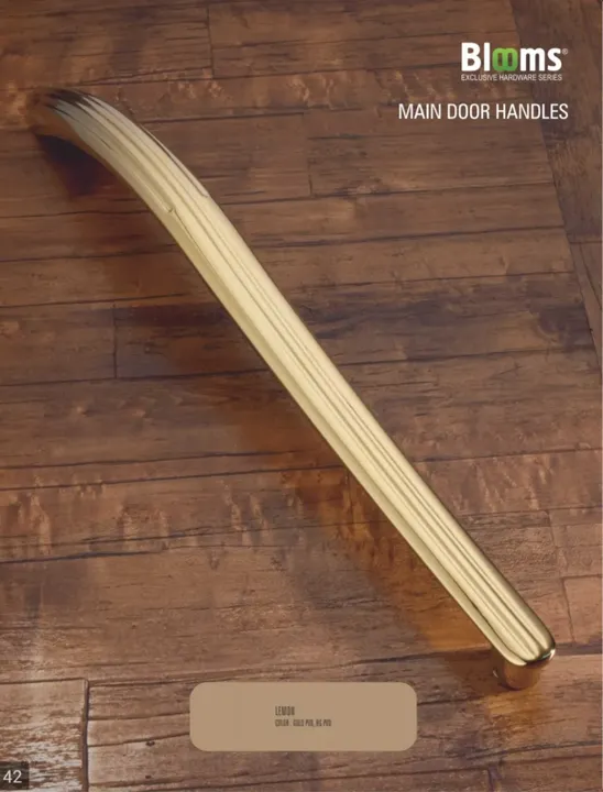Main Door Handles