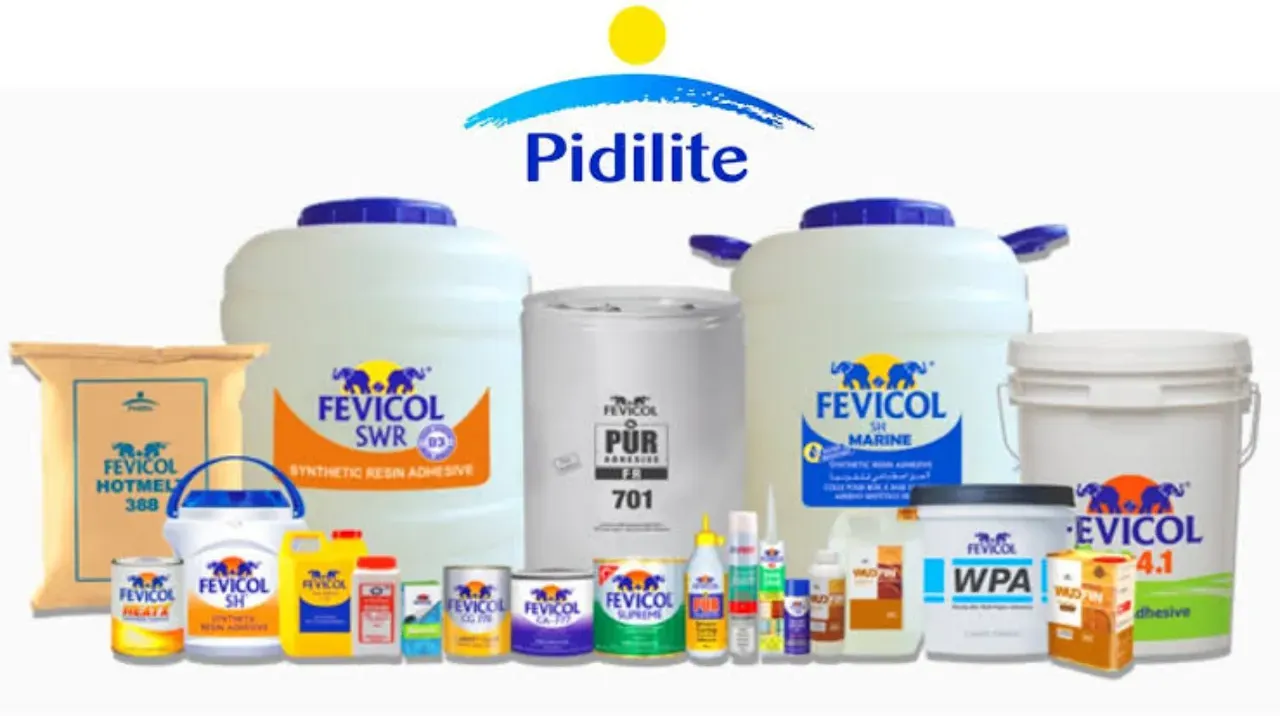 Pidilite Products