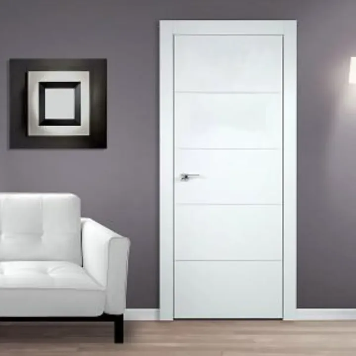 Flush Door