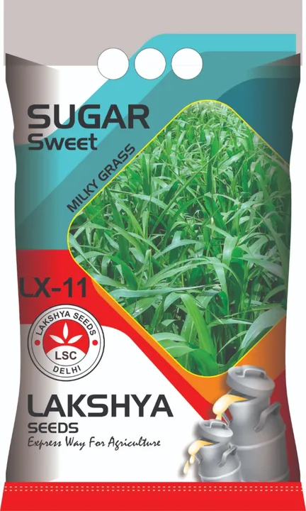 Sugar Sweet Lx-11