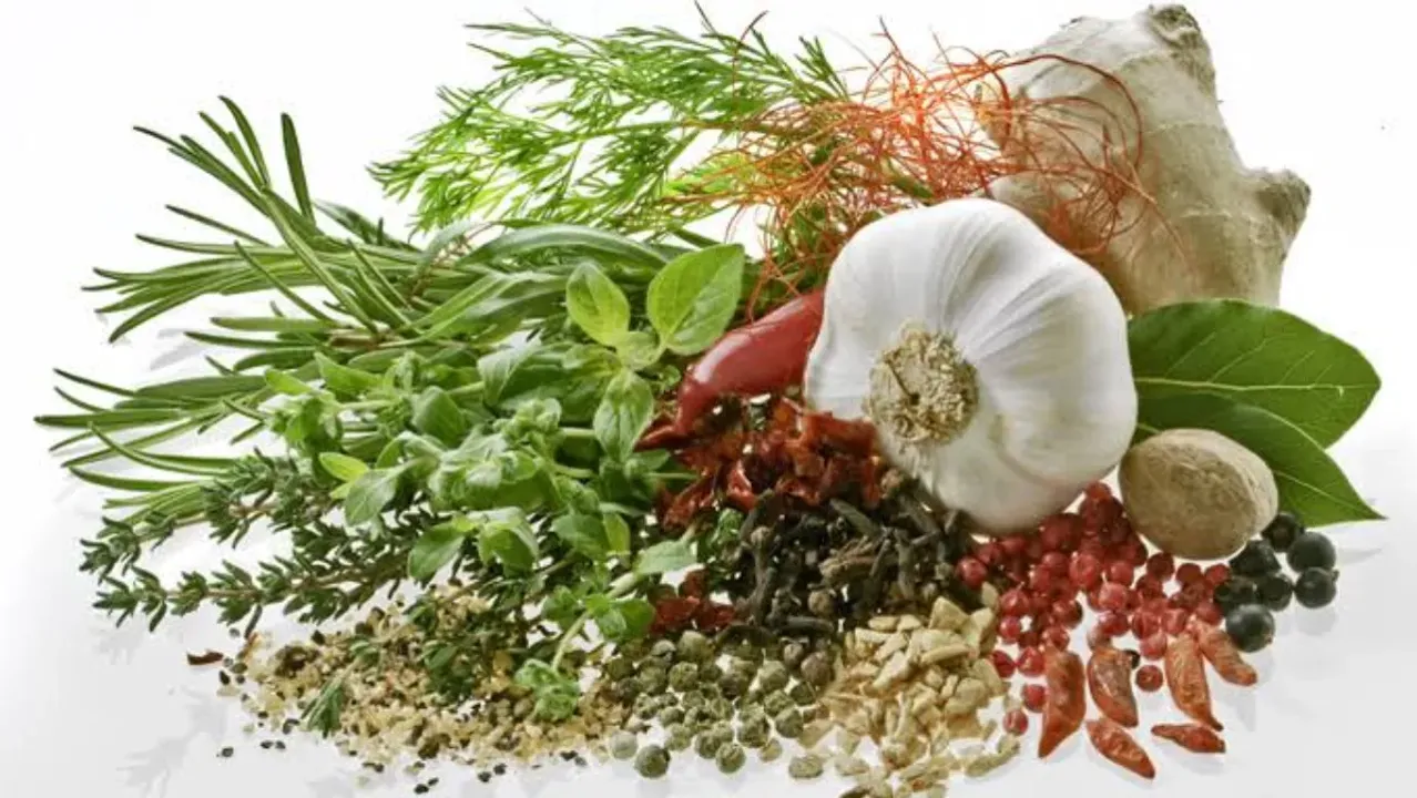 Herbs & Seasoning