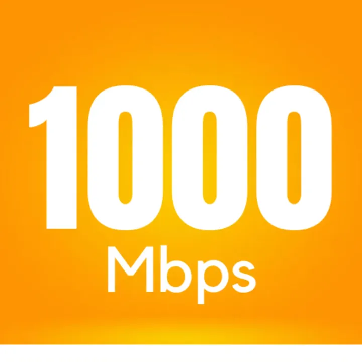 Upgrade to 1000 Mbps