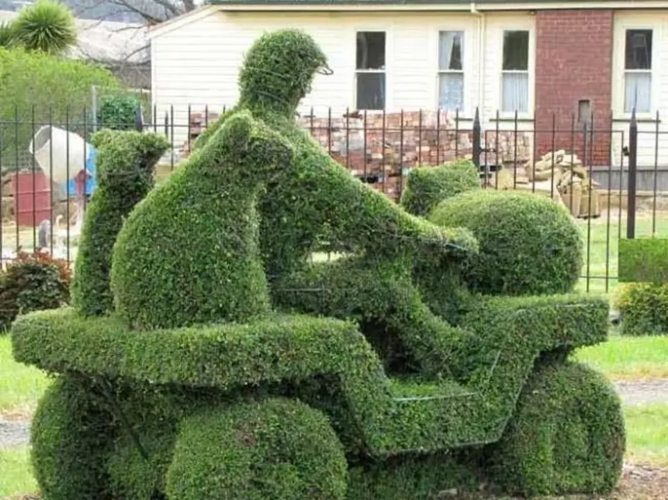 Topiary Frames