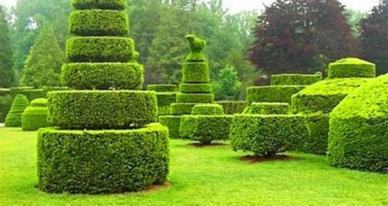 Topiary Frames