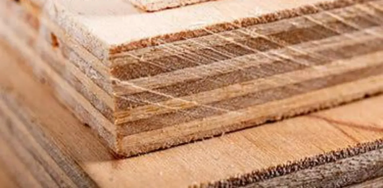 Imported Hardwood Plywood