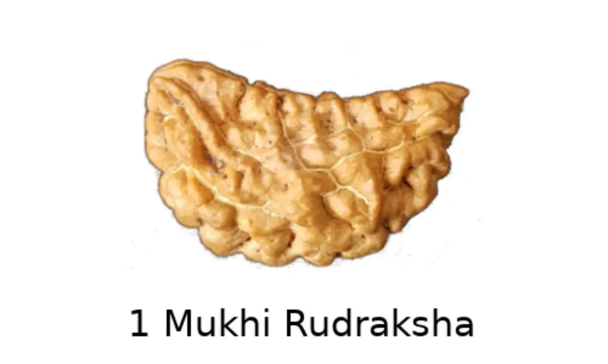 Rudraksha Manka