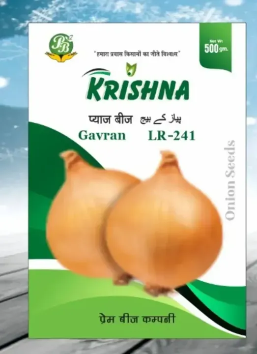 Onion Gavran Seeds