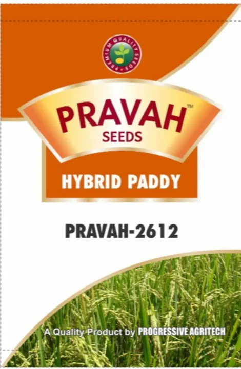 Hybrid Paddy