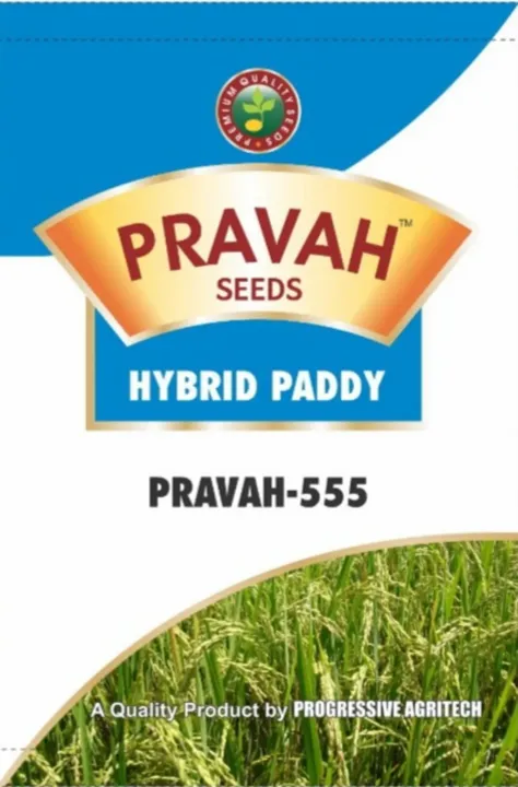 Hybrid Paddy