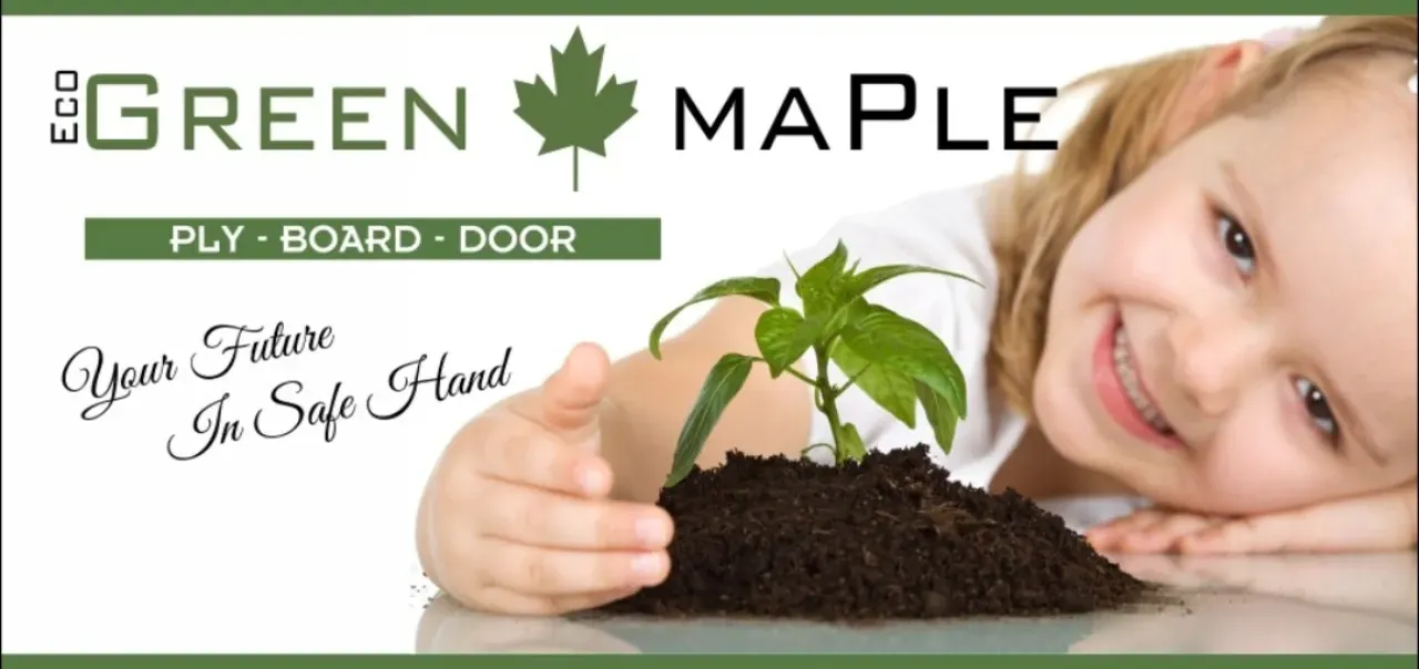 Green Maple