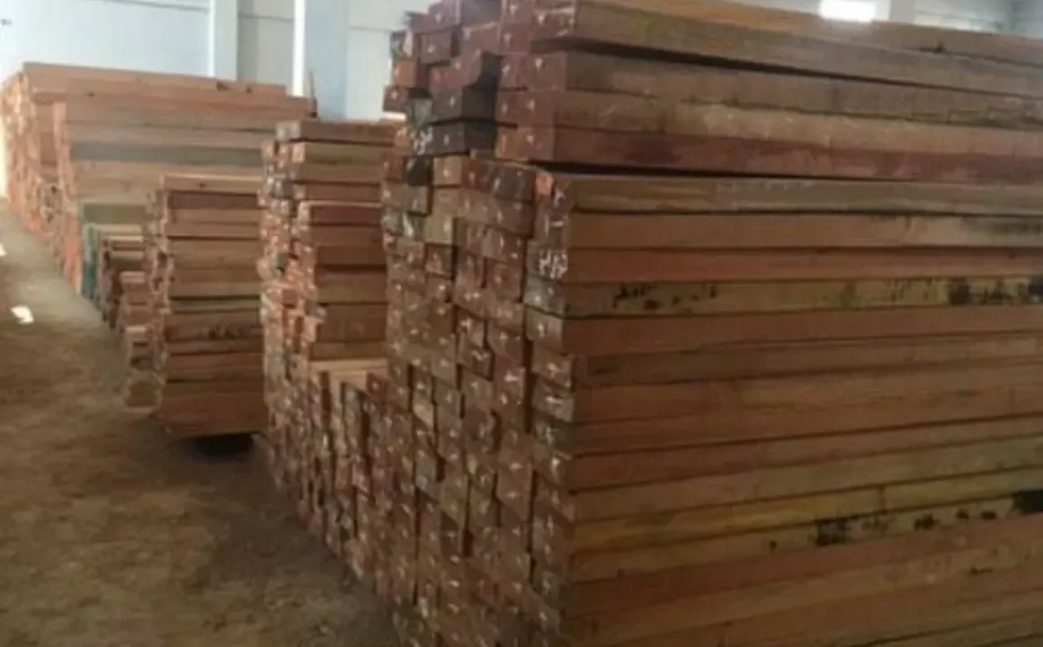 Malaysian Sal Wood