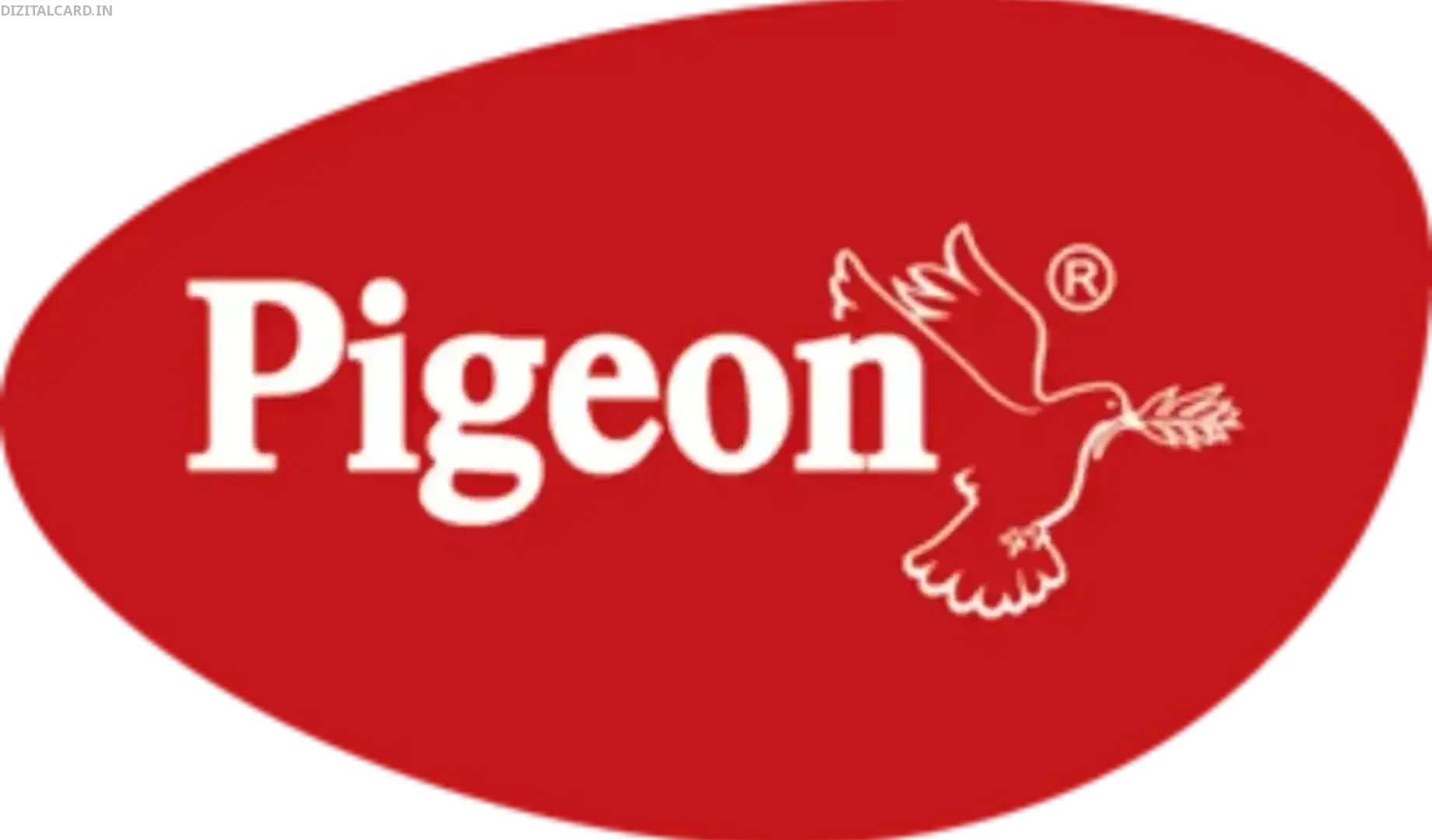 Pigeon