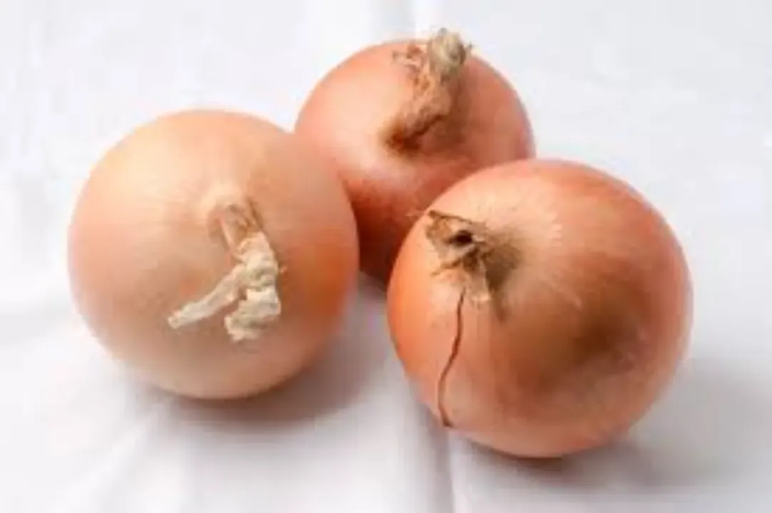 Onion Gavran