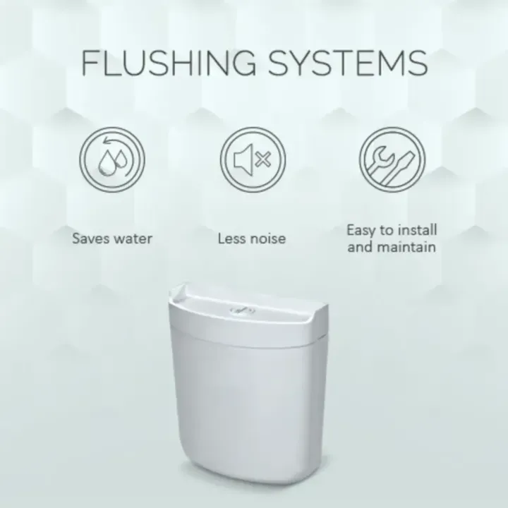 Flushing System