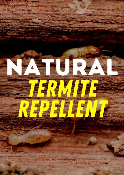 Termite Repellent