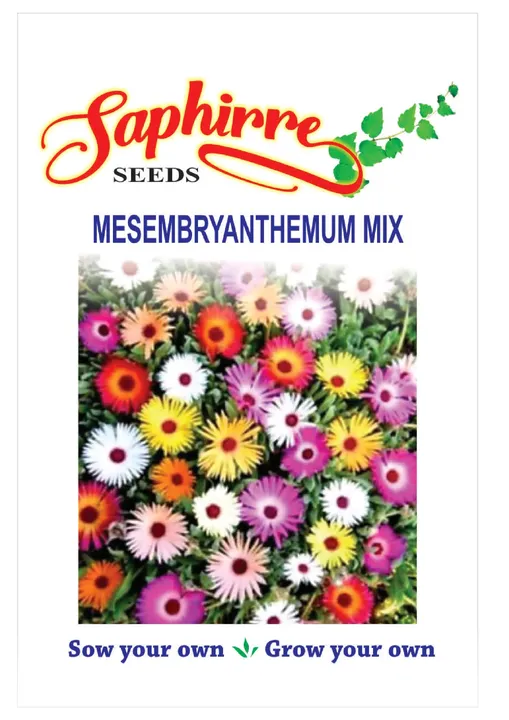 Mesembryanthemum Mix