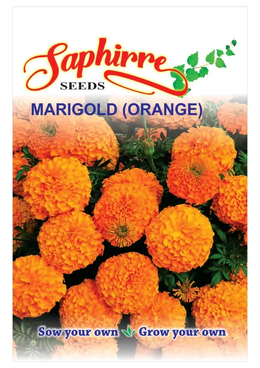 Marigold Orange