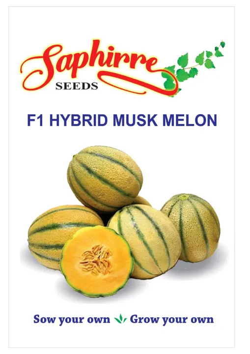 F1 Hybrid Musk Melon