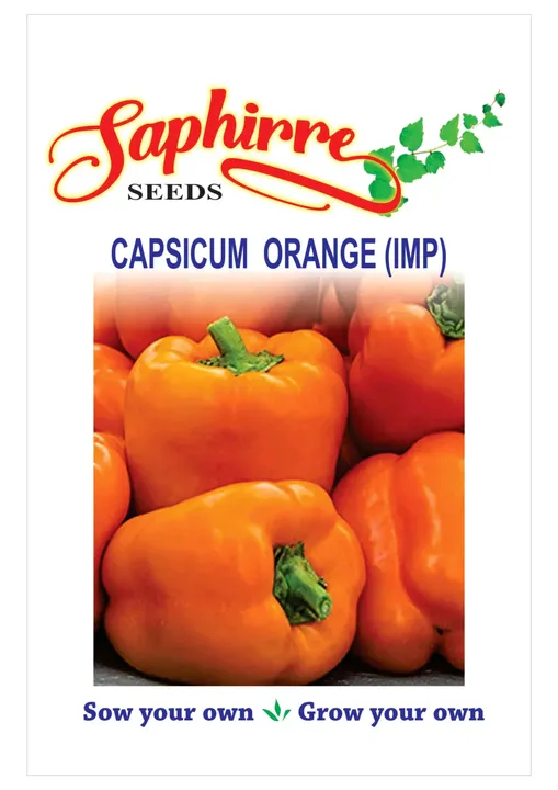 Capsicum Orange (IMP)